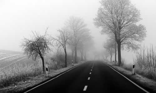 Road amidst trees against sky