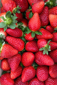 Strawberries from palos, huelva, spain