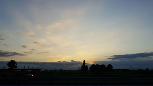 Silhouette of trees at sunset