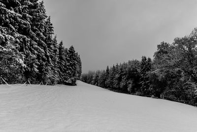 Snow covered land and trees against sky