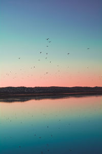 View of birds flying over sea against sky