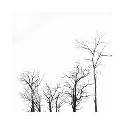 Bare tree against sky during winter