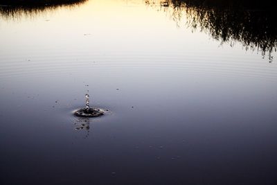 Scenic view of lake at sunset