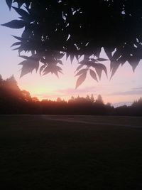 Silhouette trees on field against sky at sunset