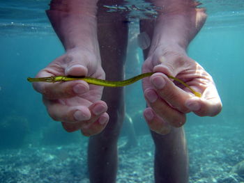 Midsection of woman holding fish in sea