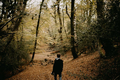 Rear view of man walking in forest