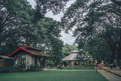 Trees and houses in park