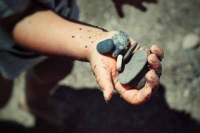 Close-up of hand holding leaf