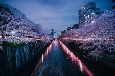 Canal amidst illuminated trees and buildings against sky in city