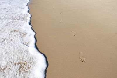 High angle view of footprints on beach