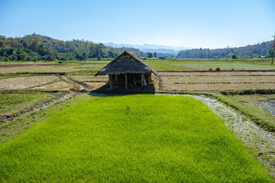 Scenic view of agricultural field against sky