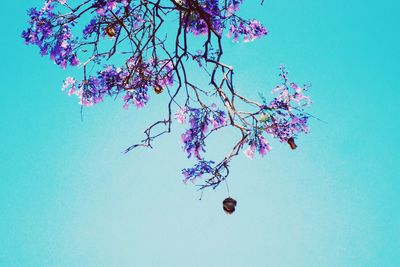 Low angle view of tree against blue sky