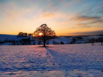 Scenic view of snow covered field against sky during sunset