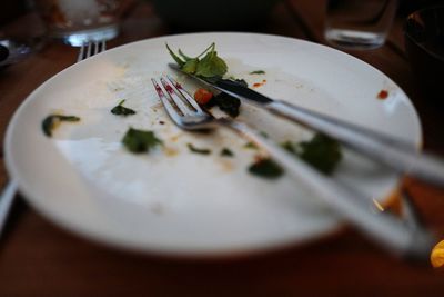 Close-up of food on plate