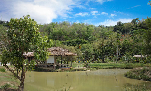 Scenic view of lake and trees against sky