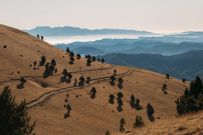 Scenic view of desert against clear sky