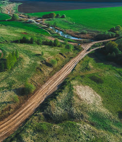 High angle view of vineyard on land