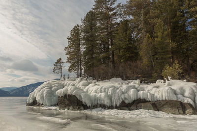 View of beautiful drawings on ice from cracks on the surface of lake teletskoye in winter, russia