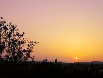 Silhouette trees on landscape against romantic sky at sunset