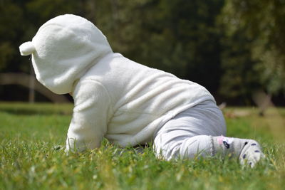Baby girl crawling on field