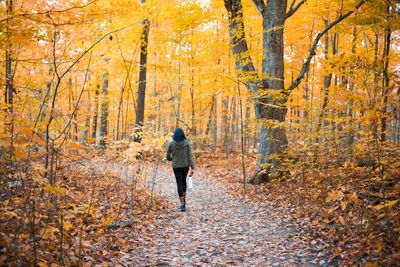 Rear view of woman hiking along a trail in fall season