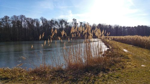 Scenic view of lake against sky