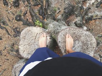 Low section of woman standing on beach