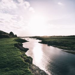 Narrow stream along landscape