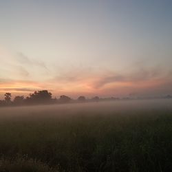 Scenic view of field against sky during sunset