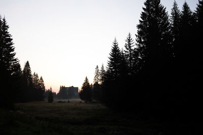 Trees on landscape against clear sky