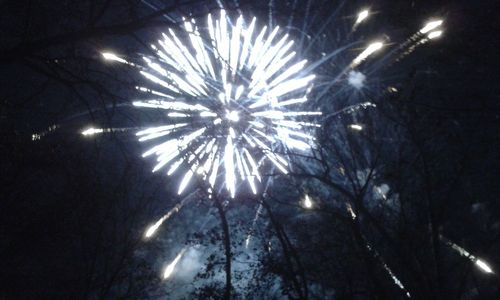 Low angle view of fireworks against sky at night