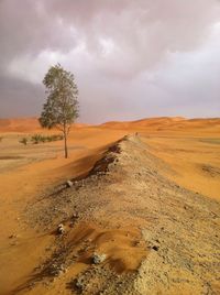 Scenic view of landscape against cloudy sky