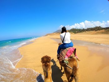 Rear view of woman riding camel at beach