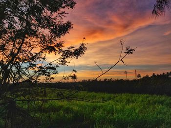 Scenic view of field against sky during sunset