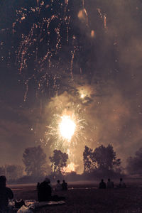 Rear view of people sitting on field against fireworks in sky at night