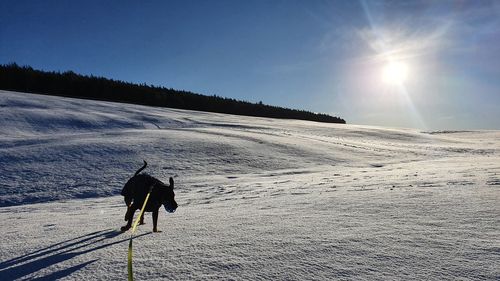 Person skiing on snow covered land against sky