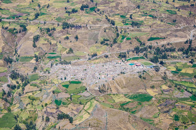 High angle view of agricultural field