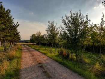 Road amidst trees on field against sky