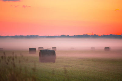 Scenic view of field against sky during sunset