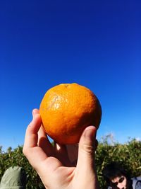 Close-up of hand holding apple against blue sky