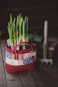 Close-up of spring onions in bag on flooring
