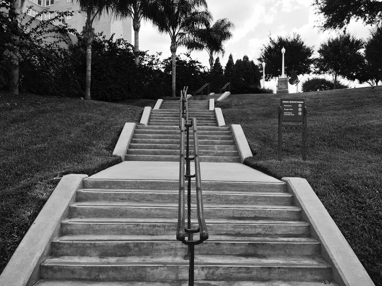 tree, steps, bench, the way forward, railing, empty, steps and staircases, sky, absence, sunlight, staircase, park - man made space, day, outdoors, shadow, grass, wood - material, park bench, nature, tranquility