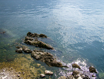 High angle view of rocks in sea