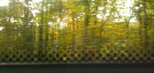 Reflection of trees in lake during sunset