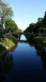 Reflection of trees in river