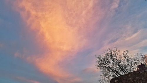 Low angle view of silhouette tree against sky at sunset