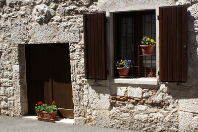 Potted plants outside house