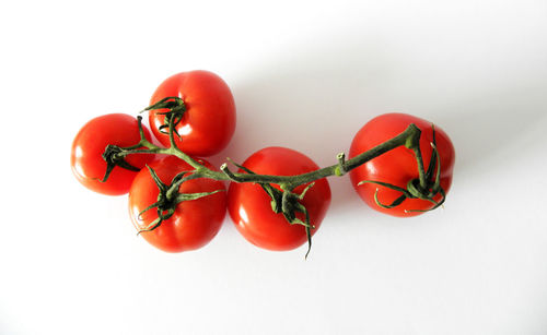 Close-up of tomatoes against white background