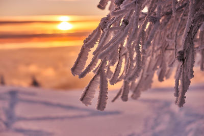 Close-up of icicles against sky during sunset