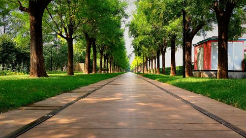 Road amidst trees against sky